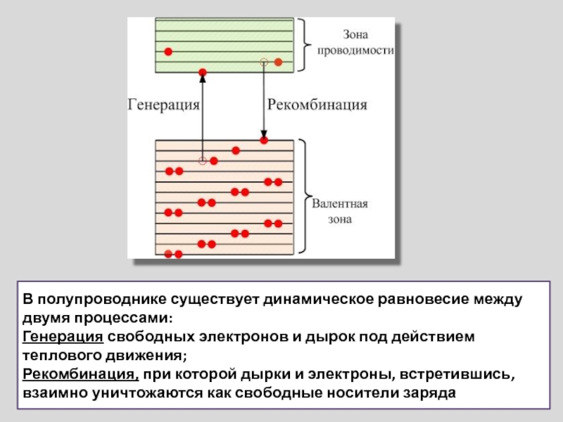 Динамическое равновесие между паром и жидкостью