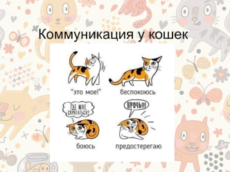 Коммуникация у кошек