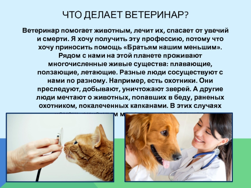 Презентация на тему ветеринар. Презентация на тему ветврача. Почему становятся ветеринарами