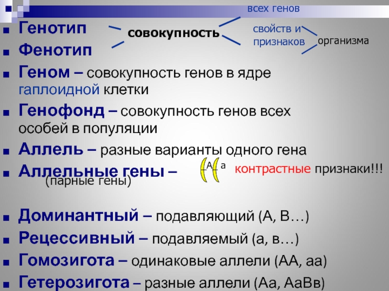 Генотип 7 6. Геном генотип фенотип. Понятия ген геном генотип фенотип. Генотип фенотип кариотип. Геном генотип кариотип генофонд.