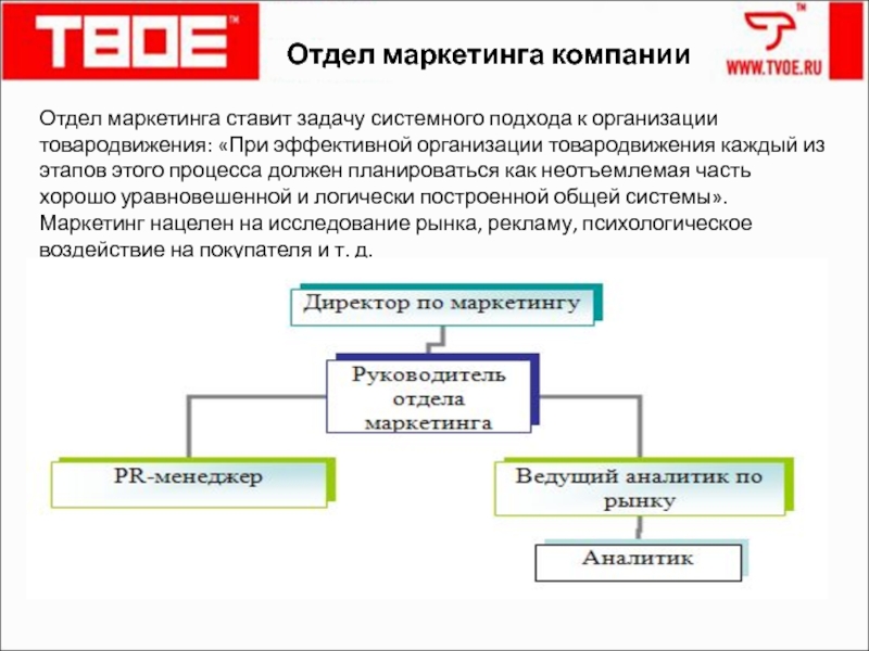 Отдел маркетинга. Задачи отдела маркетинга. Отдел маркетинга застройщика. Положение об отделе маркетинга.