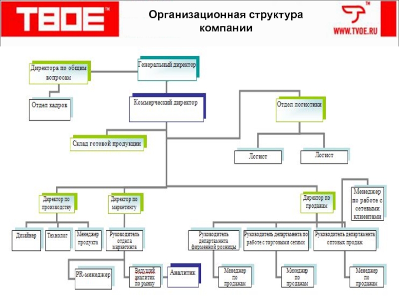 Организационная структура летуаль схема