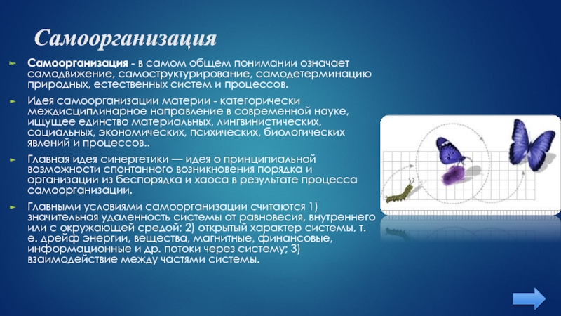 Реферат: СИНЕРГЕТИКА КАК НАУКА О САМООРГАНИЗАЦИИ