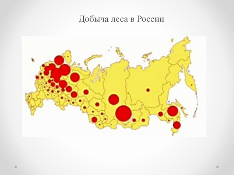 Лес в россии карта