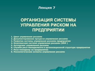 Организация управления рисками на предприятии. (Лекция 7)