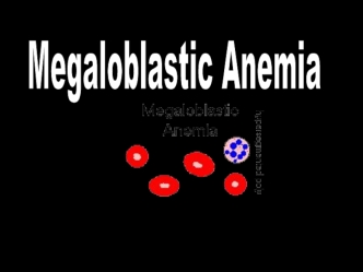 Megaloblastic anemia