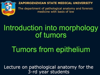 Introduction into morphology of tumors tumors from epithelium