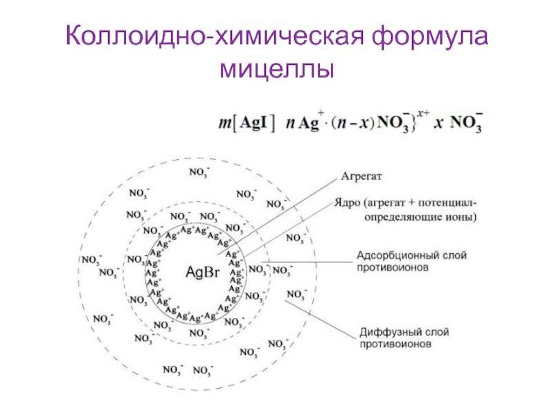 Формула мицеллы сульфата бария. Строение мицеллы Золя сульфата бария. Строение мицеллы формула. Строение мицеллы,химическая формула мицеллы. Коллоидная химия формула мицелла.