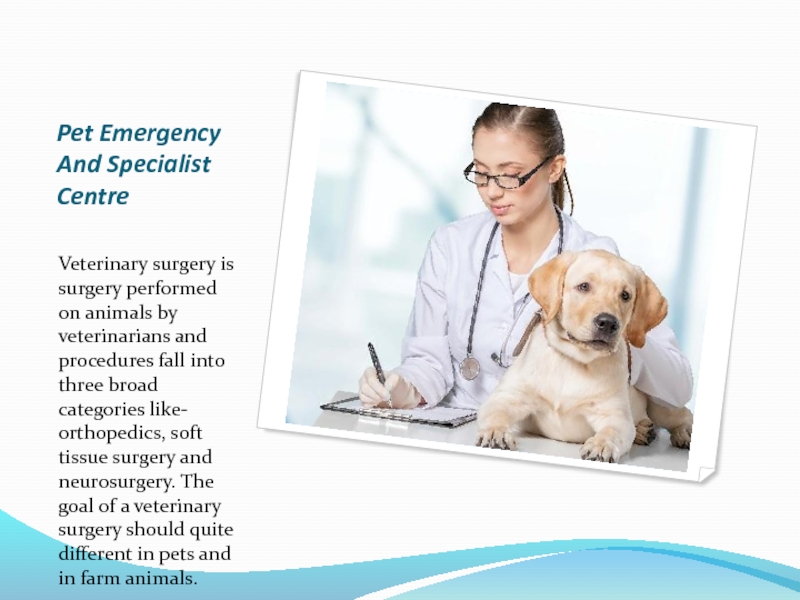 Pet Emergency And Specialist Centre Veterinary surgery is surgery performed on animals by veterinarians and procedures fall