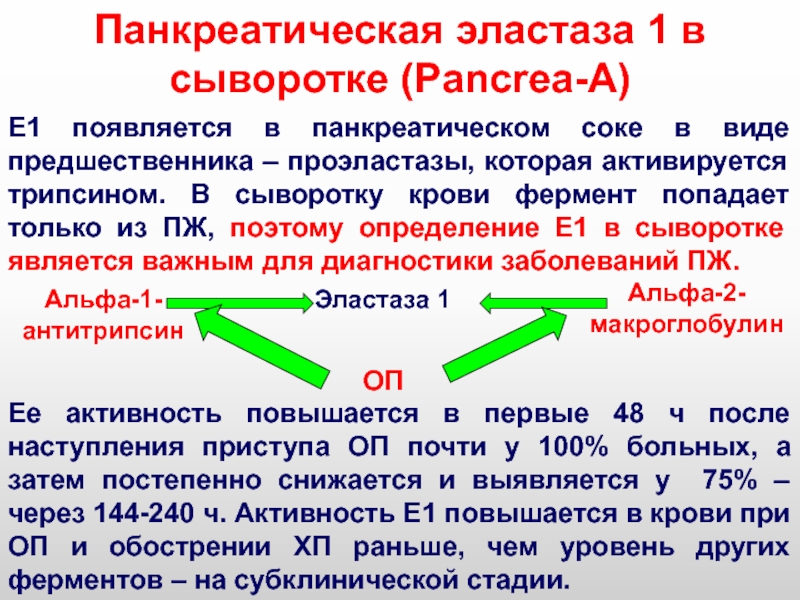 Что значит панкреатическая эластаза 500 у взрослого