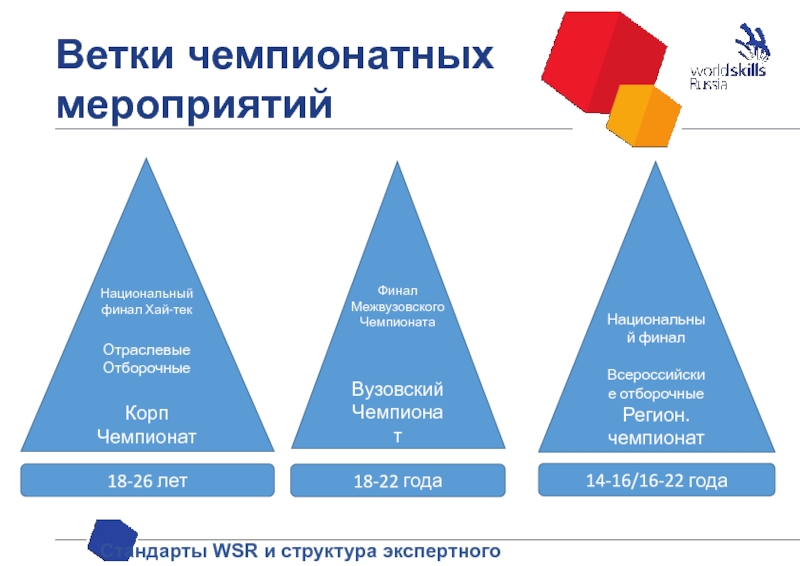 Стандарт мероприятий. Структура экспертного сообщества. Структура WSR. Структура экспертного комьюнити. Схема структуры экспертного сообщества Ворлдскиллс Россия.