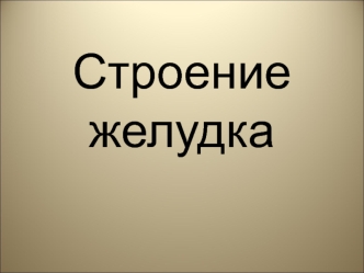 Строение желудка