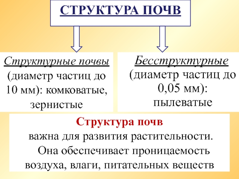 Бесструктурная почва