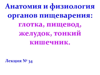 Анатомия и физиология органов пищеварения: глотка, пищевод, желудок, тонкий кишечник