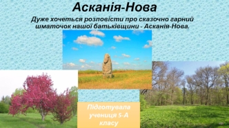 Біосферний заповідник Асканія-Нова