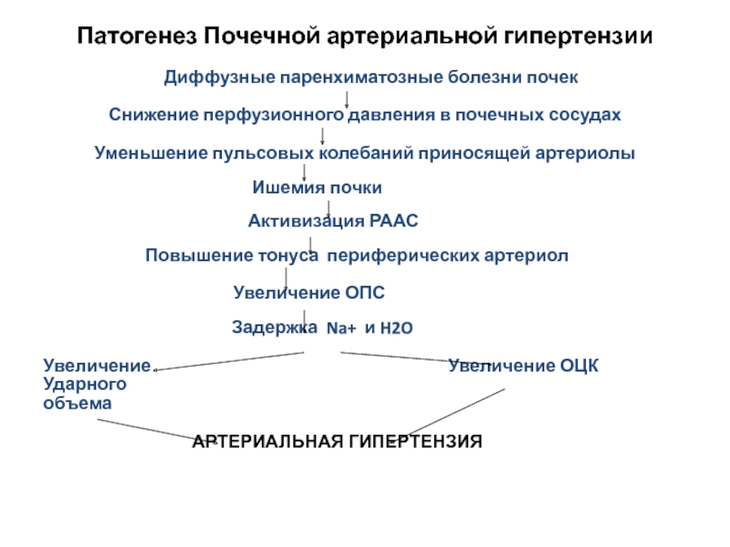 Патогенез артериальной гипертензии