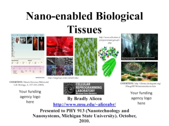 Nano-enabled biological tissues