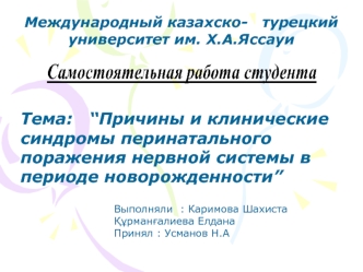 Причины и клинические синдромы перинатального поражения нервной системы в периоде новорожденности