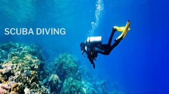 Scuba Diving