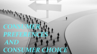 Consumer preferences and consumer choice