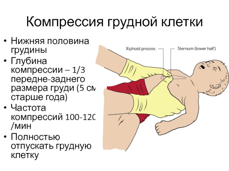 Частота проведения компрессий составляет