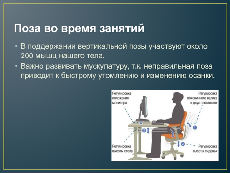 Вертикальная позиция голоса. Оценка функции поддержания вертикальной позы.. Правильная рабочая поза схема. Регулирование вертикальной позы стабилография. Малоподвижная рабочая поза приводит к:.