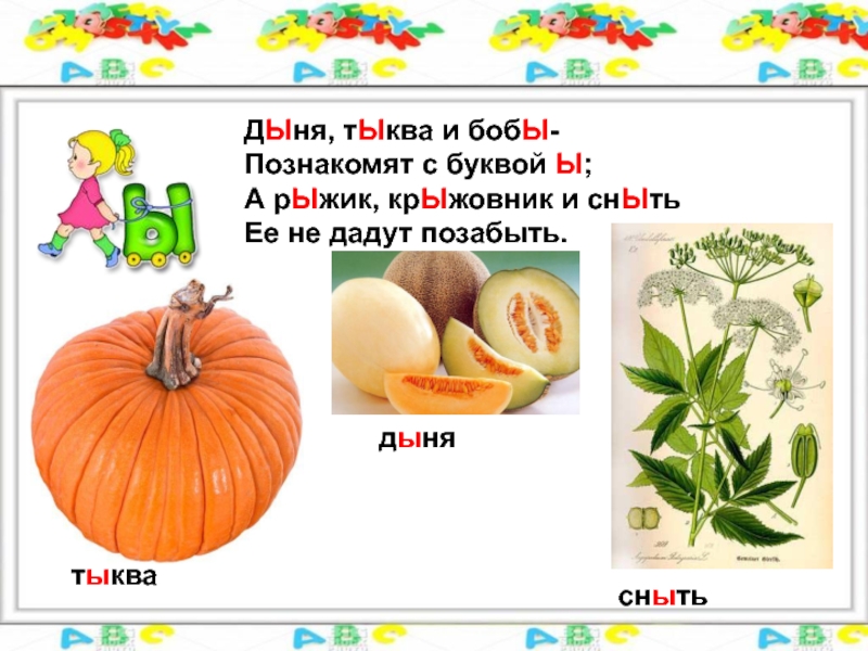 Дыня звуковая схема