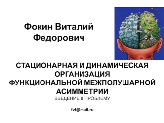 Стационарная и динамическая организация функциональной межполушарной асимметрии. Введение в проблему