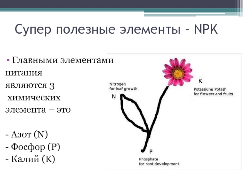 Презентация химический состав почвы