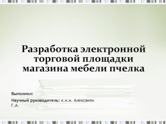 Разработка электронной торговой площадки интернет-магазина мебели Пчёлка