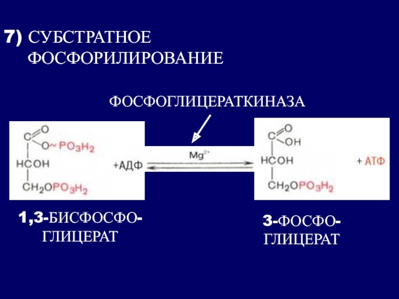 Субстратное фосфорилирование атф. Типы субстратного фосфорилирования. Субстратное фосфорилирование в ЦТК. Пути синтеза АТФ субстратное фосфорилирование. Субстратное фосфорилирование схема.