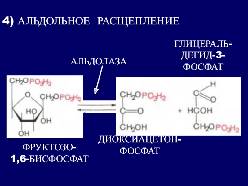 Реакция расщепления происходит в. Альдольное расщепление. Альдольное расщепление альдегидов. Механизм альдольного расщепления. Альдольное расщепление этилацетата.