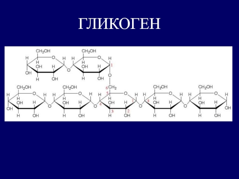 Гликоген. Циклическая формула гликогена. Структурное звено гликогена. Гидролиз гликогена. Гликоген классификация.