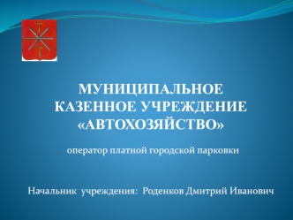 Отчет о работе платной городской парковки