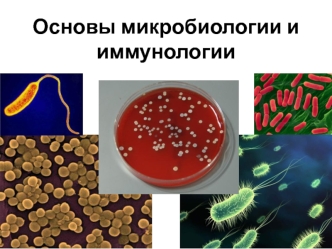 Основы микробиологии и иммунологии