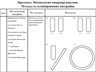 Протокол. Физиология микроорганизмов. Методы культивирования анаэробов