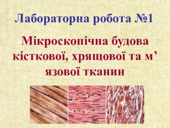 Мікроскопічна будова кісткової, хрящової та м’язової тканин