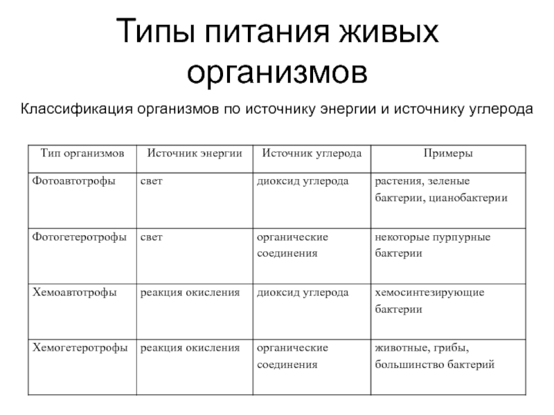 4 типа питания. Классификация организмов по типу питания и источнику энергии. Классификация организмов по типу питания схема. Классифицируйте живые организмы по типам питания. Типы питания живых организмов.