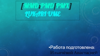 Бесплатная программа компьютерной анимации MMD;PMD/PMX