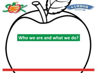 Sambor. Who we are and what we do?