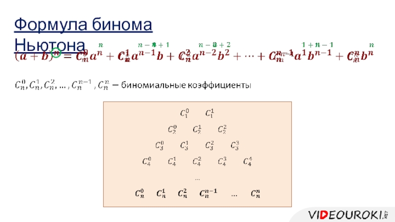 Бином ньютона картинки