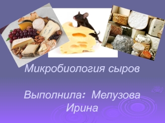 Микробиология сыров