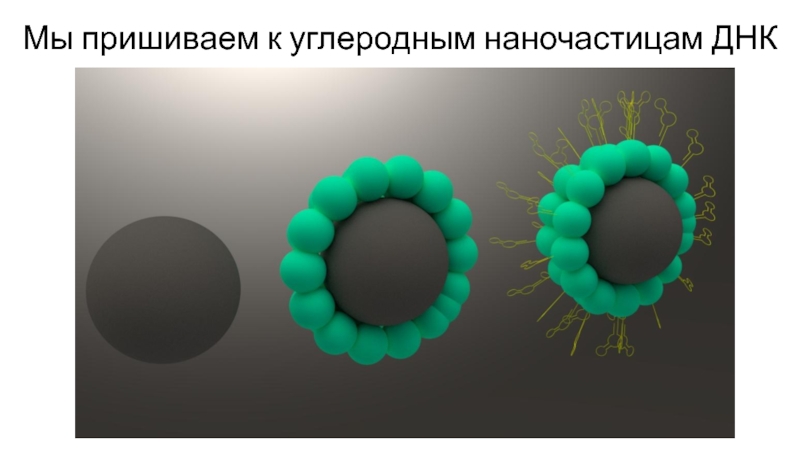 Магнитные наночастицы презентация