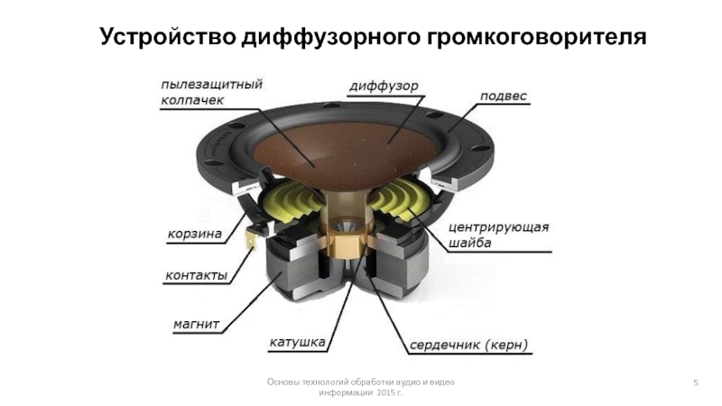 Схема конструкции динамика