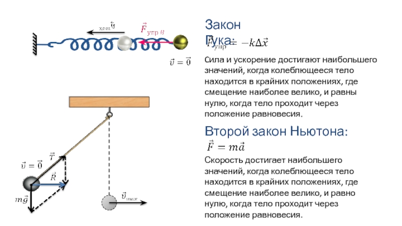 Колебание тел. Закон Гука для гармонических колебаний. Второй закон Ньютона для колебательного движения. Принцип «колеблющегося тела». Уравнение колебательного движения пот2 закону Ньютона.