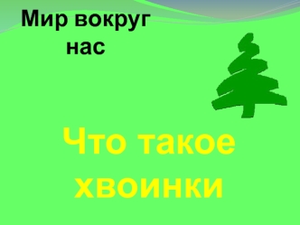 Что такое хвоинки