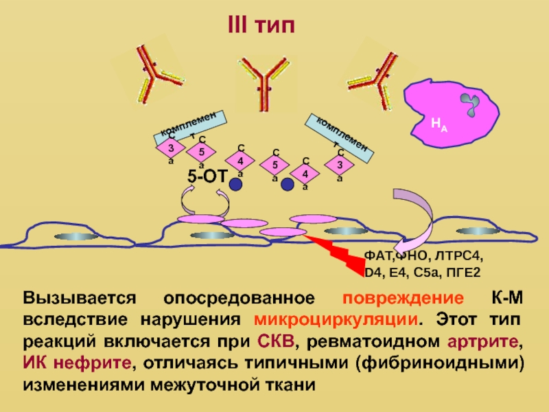 Фно фактор некроза опухоли