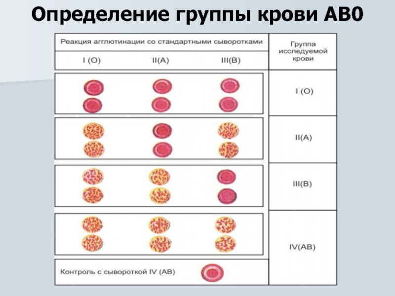 Изучите рисунок и установите какая группа крови