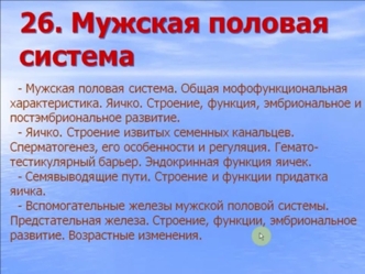 Мужская половая система