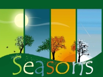 Презентация. Seasons